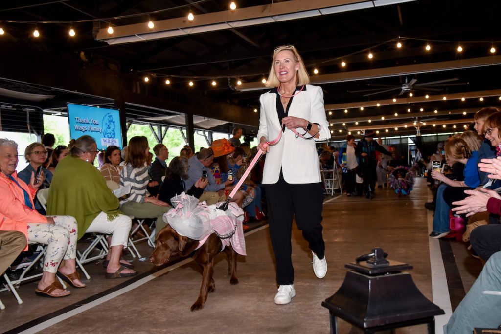 A woman is walking a dog down a runway at a fashion show.
