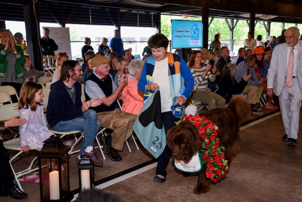 A woman is walking a dog on a leash in front of a crowd of people.