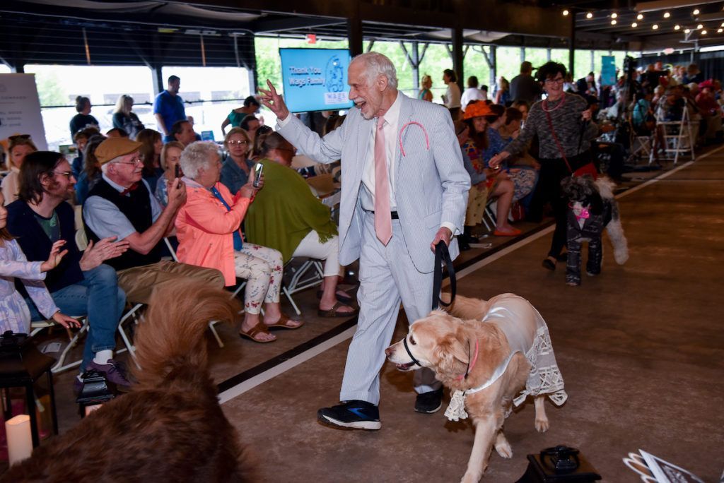 A woman is walking a dog on a leash in front of a crowd of people.