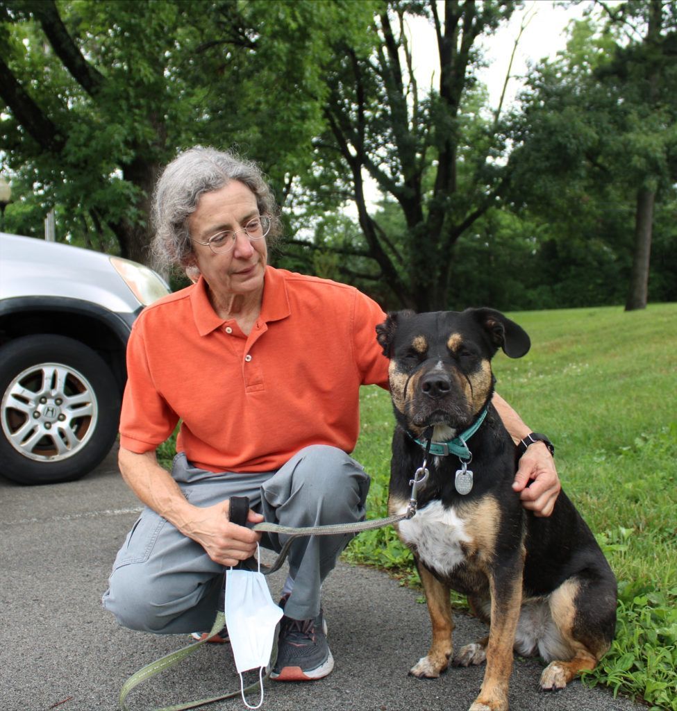 New team for pet therapy