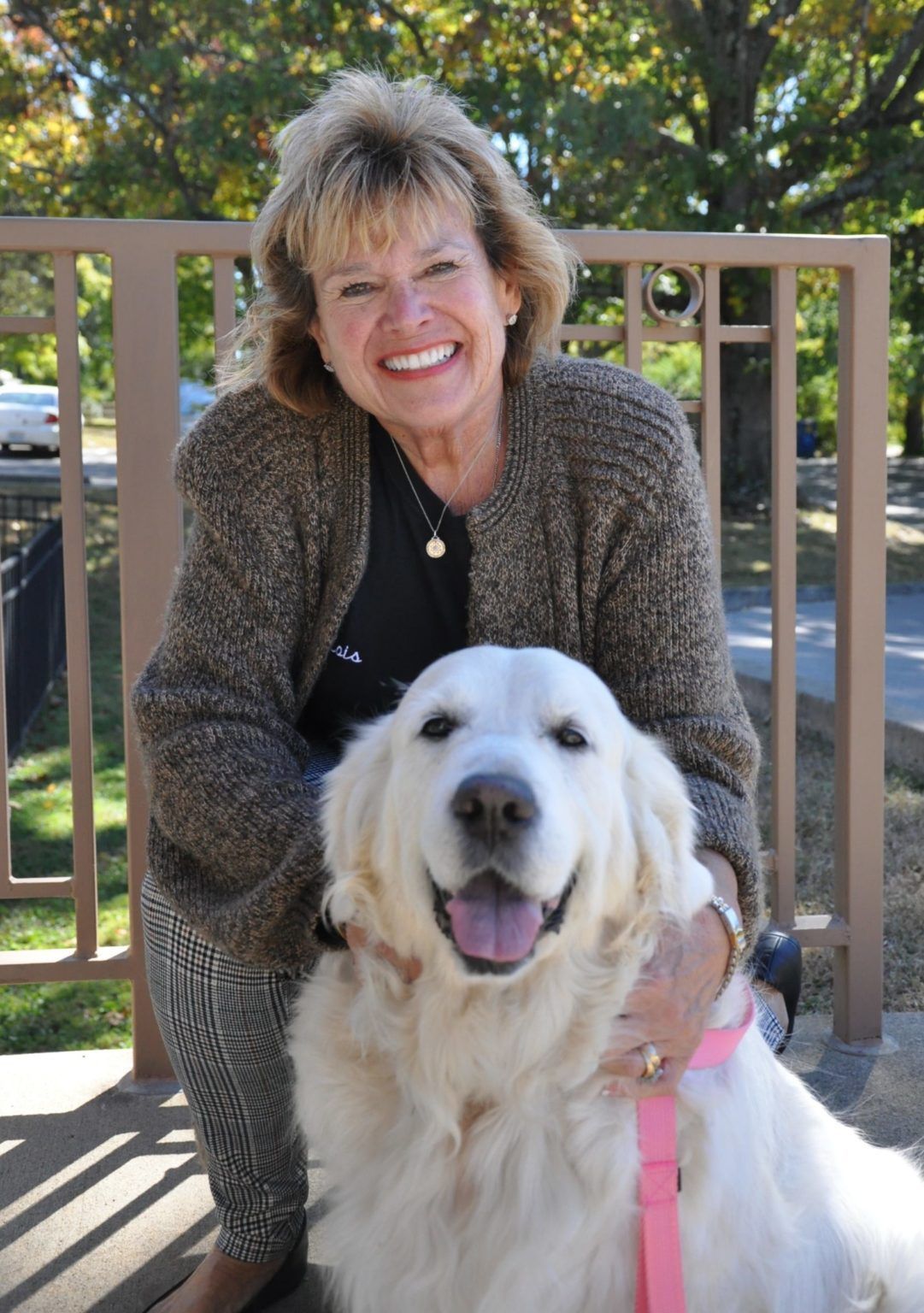 Large Cream colored Retriever as a new team