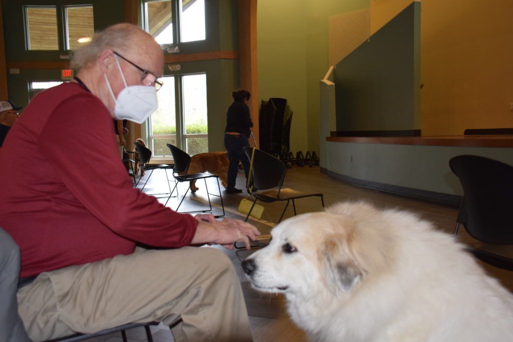 Masked owner during Covid with his therapy Pyrenees