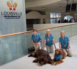 another two pet teams with large dogs