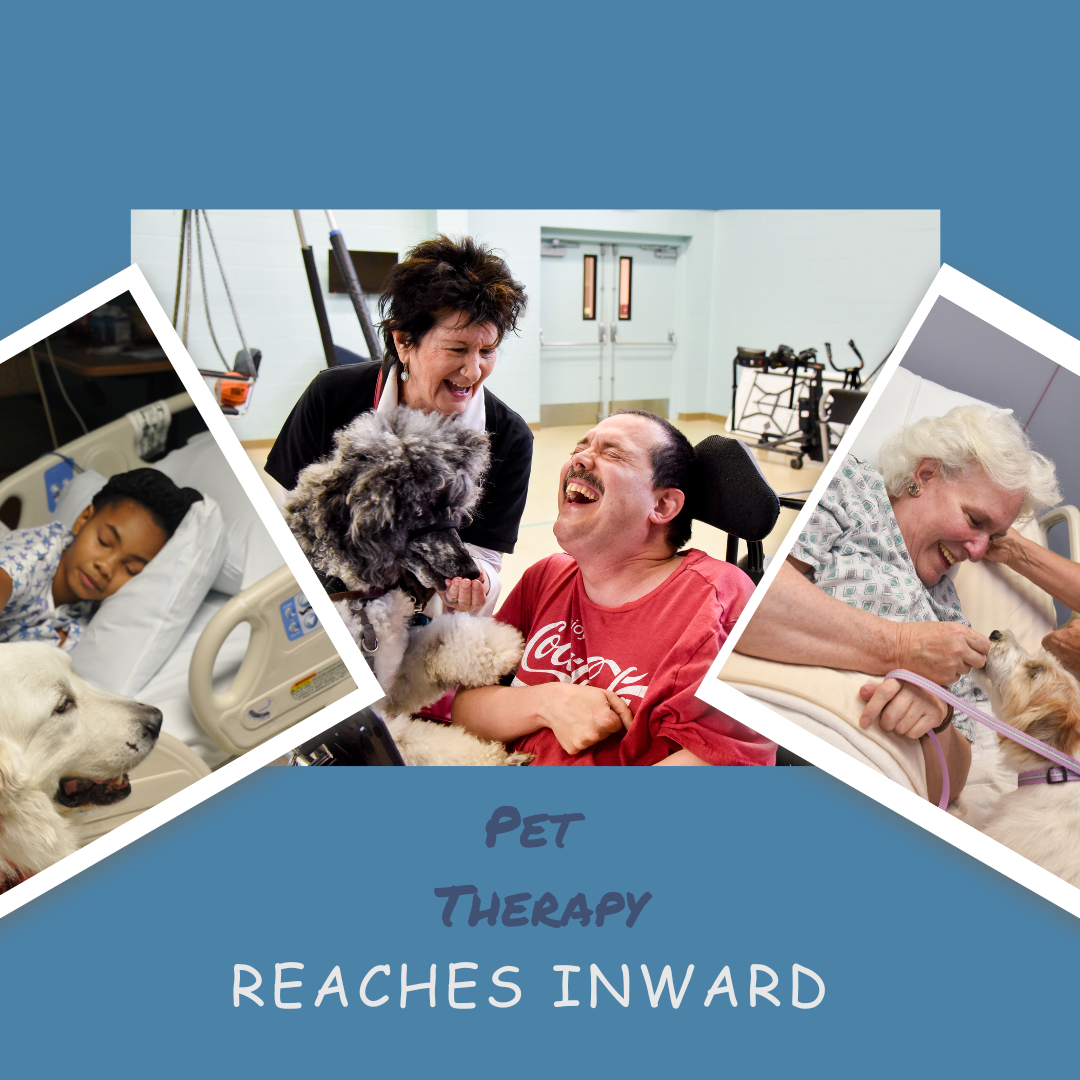 picture collage of team visits