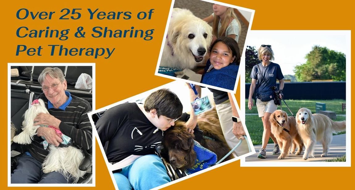 Collage of 4 sample Pet visits 
