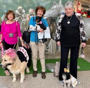 3 other pet teams visit the airport dressed for the Derby