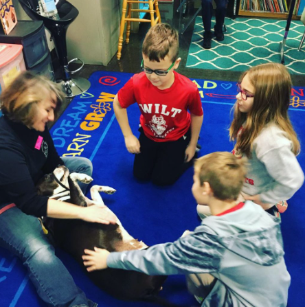 Children circling a pit bull therapy dog for a tummy rub.