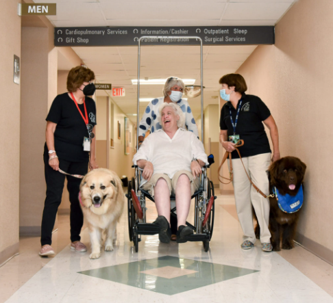 Patient being discharged with 2 therapy pets walking her to her ried