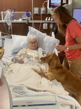 Therapy dog with 2 paws on patient's bed