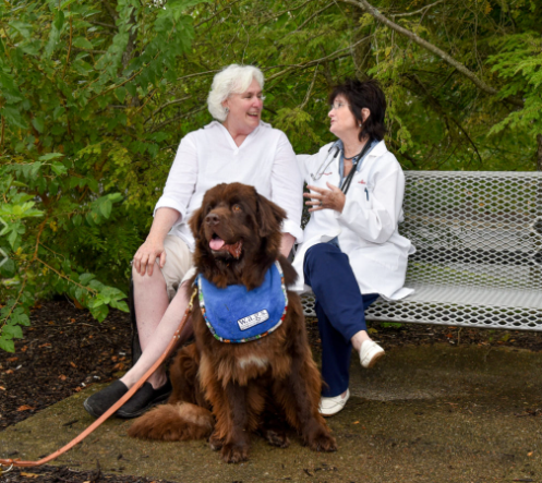 picture of doctor and patient discussing treatment with a therapy dog in the foreground