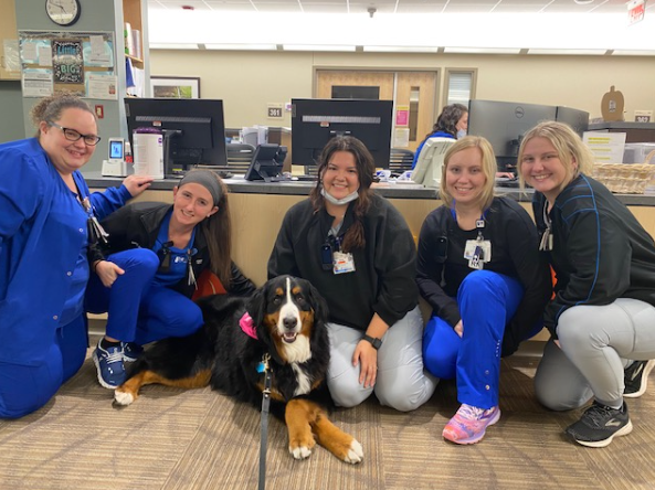 5 nurses at the station all sting with the Therapy Bernese Mountain Dog