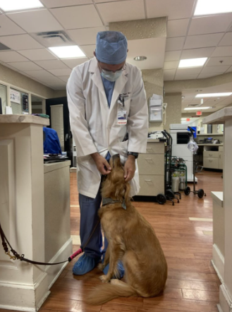 Doctor petting a therapy dog inthe hall