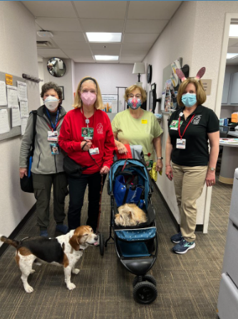 $ TEAMS visitng at a hospital
