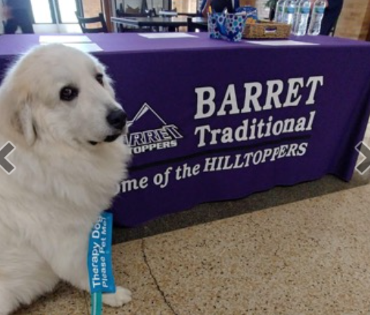 Great Pyrenees at a school function