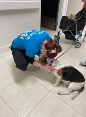 Hospital Employee loves on a therapy Beagle
