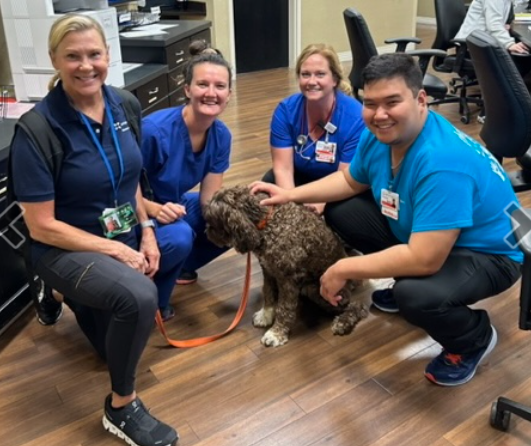 Nurses gather around the doodle