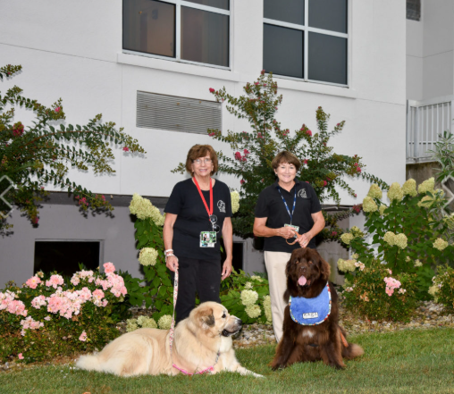 Hospital entrance where two therapy pets rest on the lawn