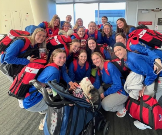 Volleyball team at the Airport gather for a picture with Therapy dog at work