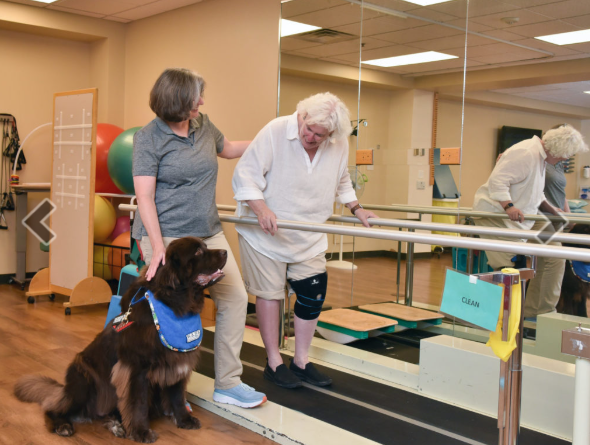 Physical Therapy with the encouragement of  therapy dog