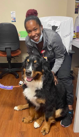 Picture of Hospital employee rubbing a therapy dog