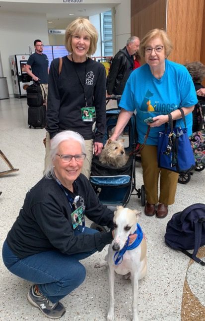 3 therapy teams visiting at the airport terminal