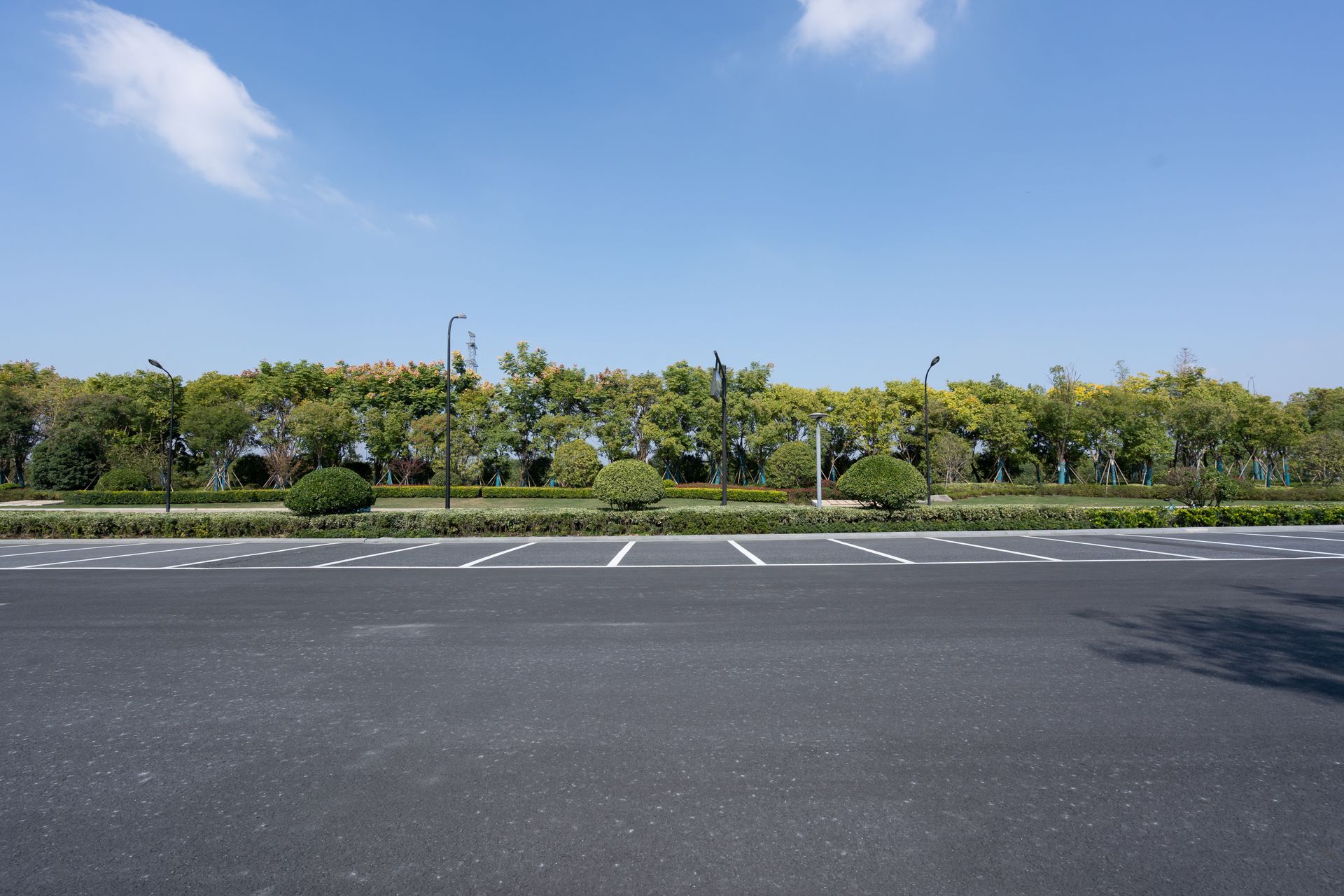 Empty asphalt parking lot with white lines, trees, and blue sky.