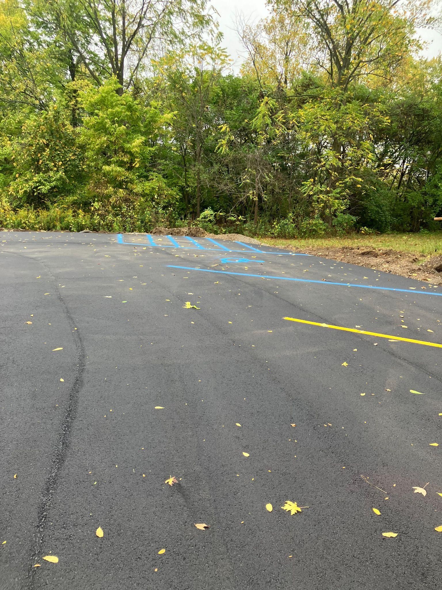 Paved road with blue and yellow markings in front of a line of green trees and bushes.
