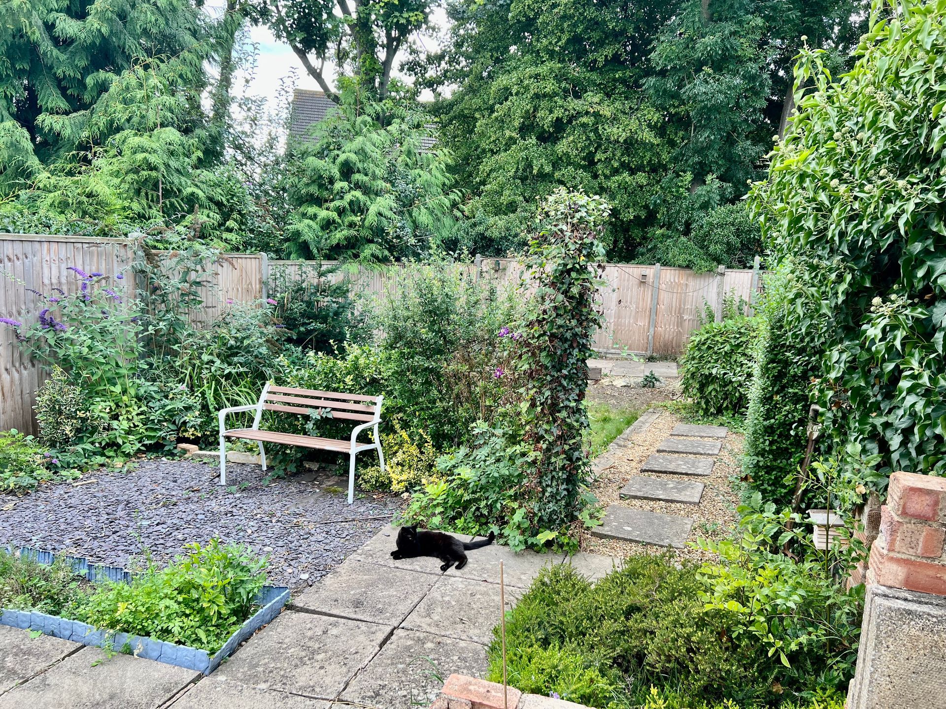 Park Drive LE16 | Market Harborough