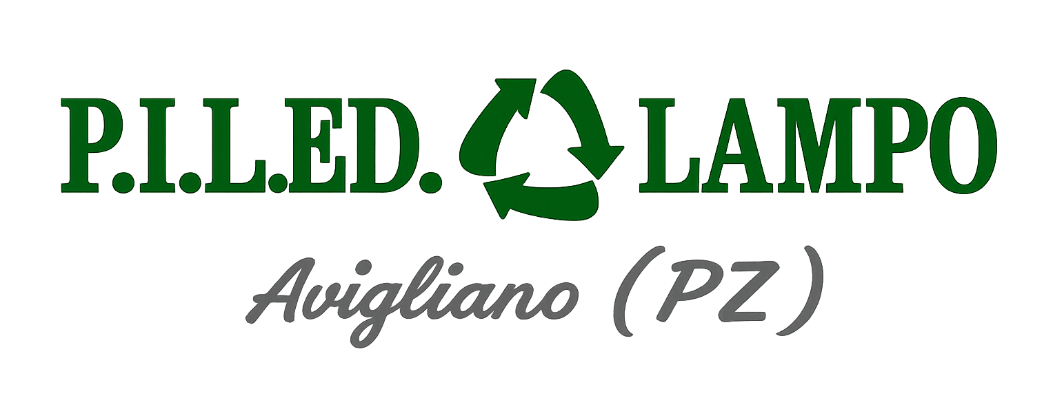 logo EcoServizi - Raccolta e Trasporto Rifiuti