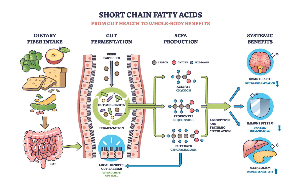 Woman in blue medical compression device, sitting in chair, talking on phone, at home.