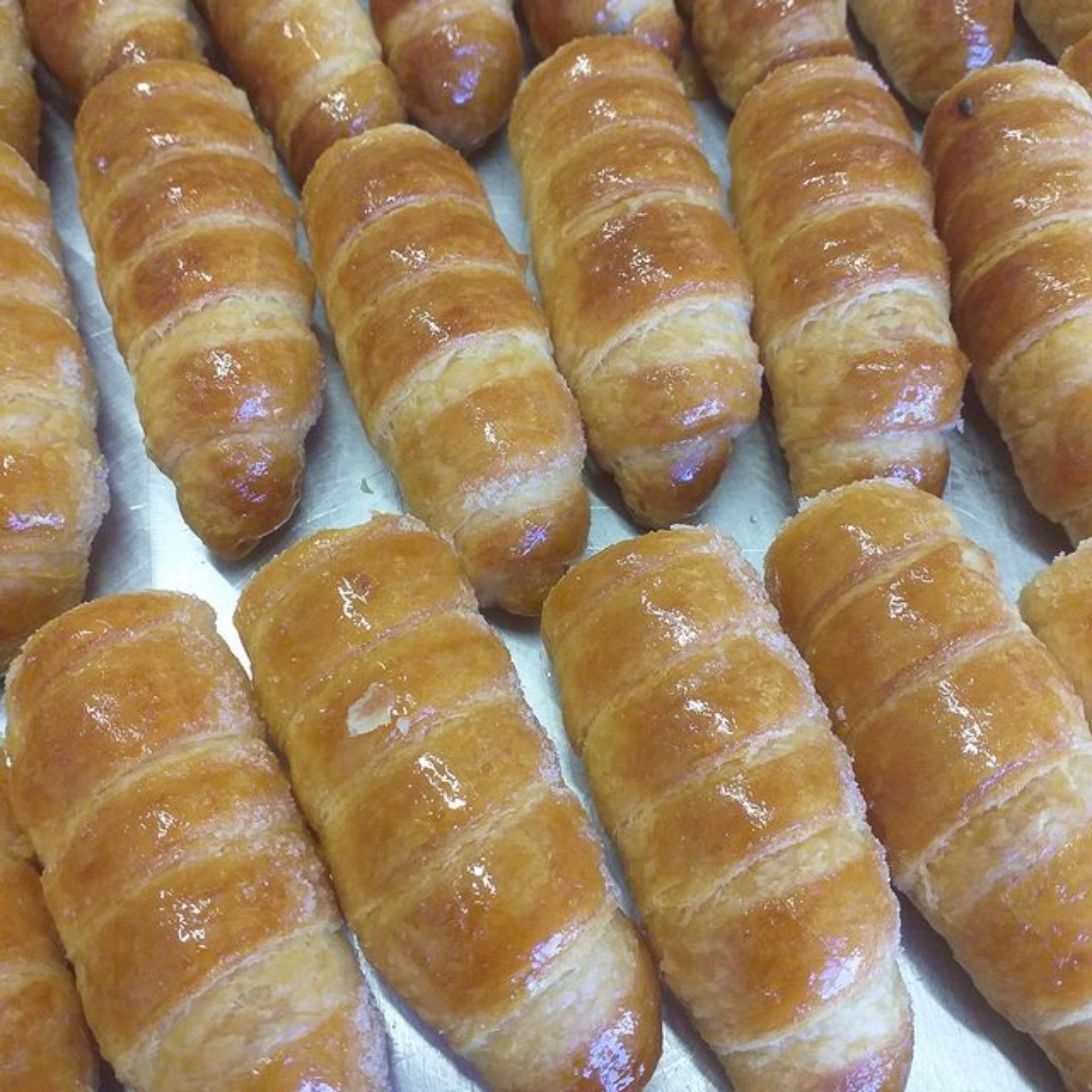 cannoncini alla crema