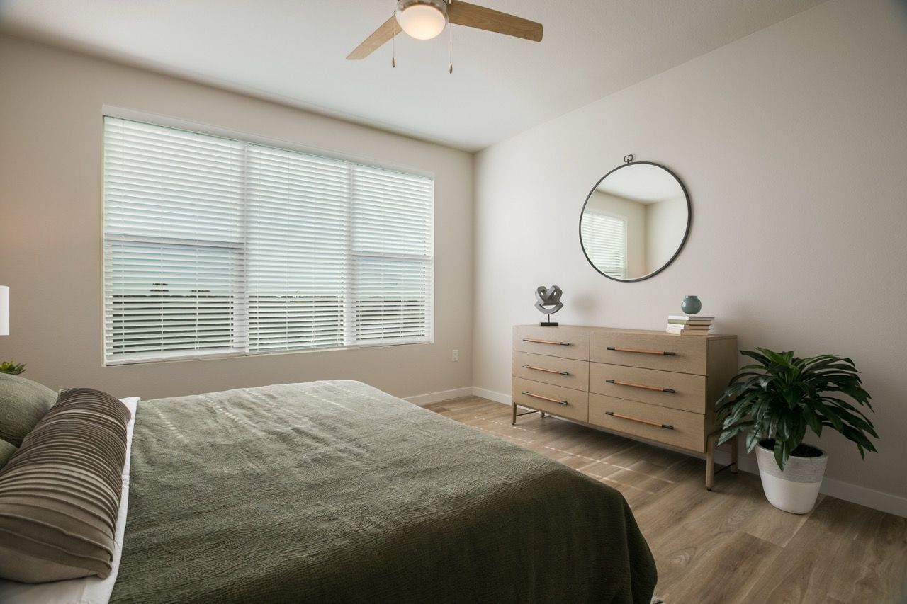 Bedroom with large window blinds, a bed, dresser, round mirror, and a potted plant.