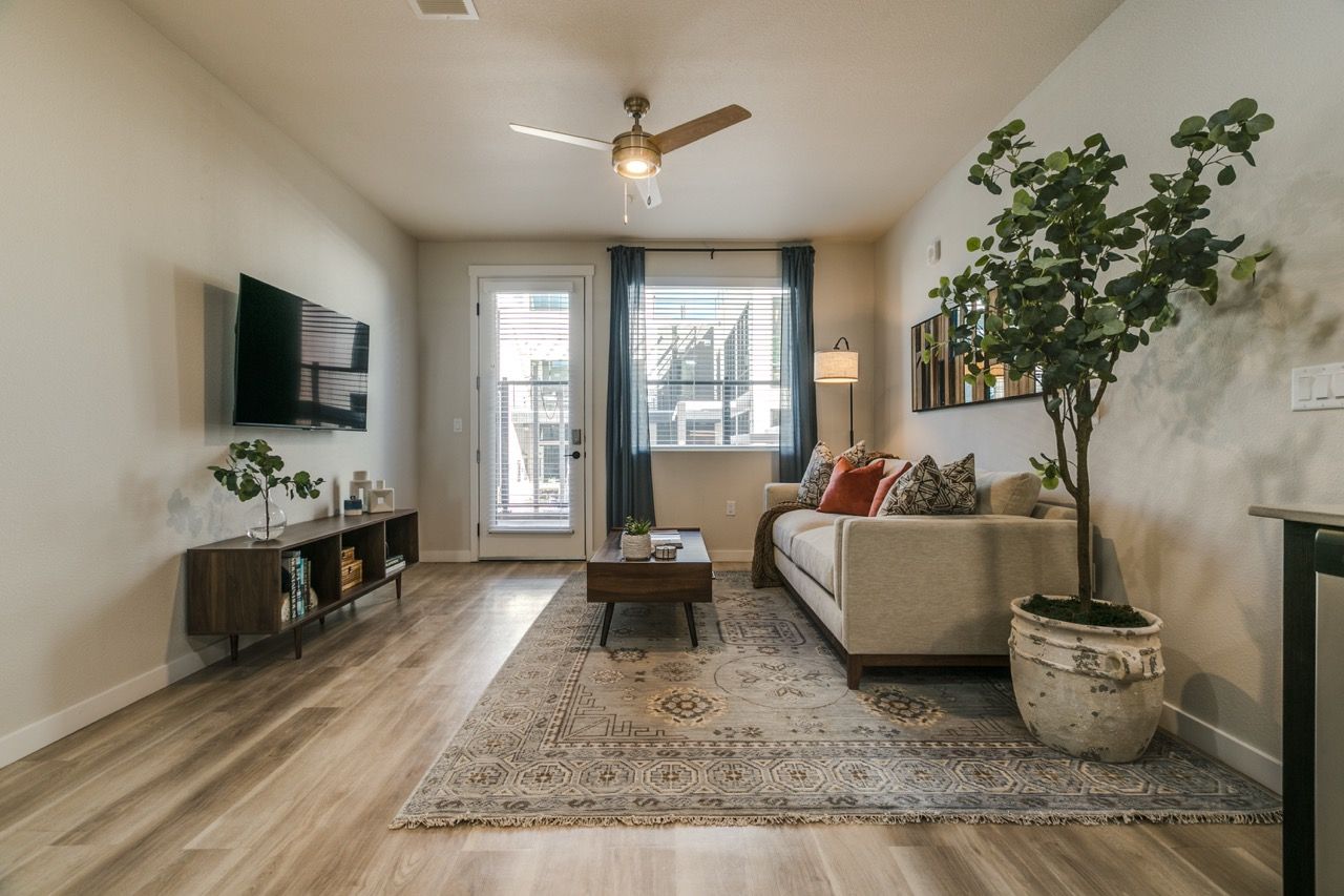 Living room in an apartment featuring a sofa, coffee table, rug, TV, and potted plant.