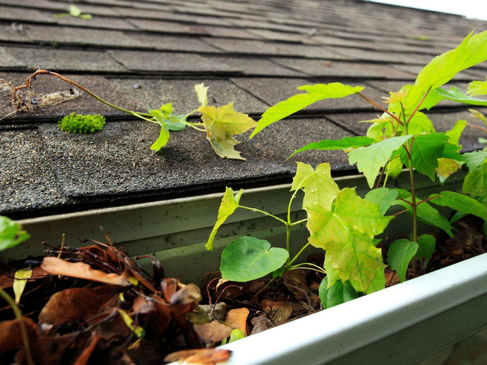 Gutter Cleaning — Roofing in Fresno, CA