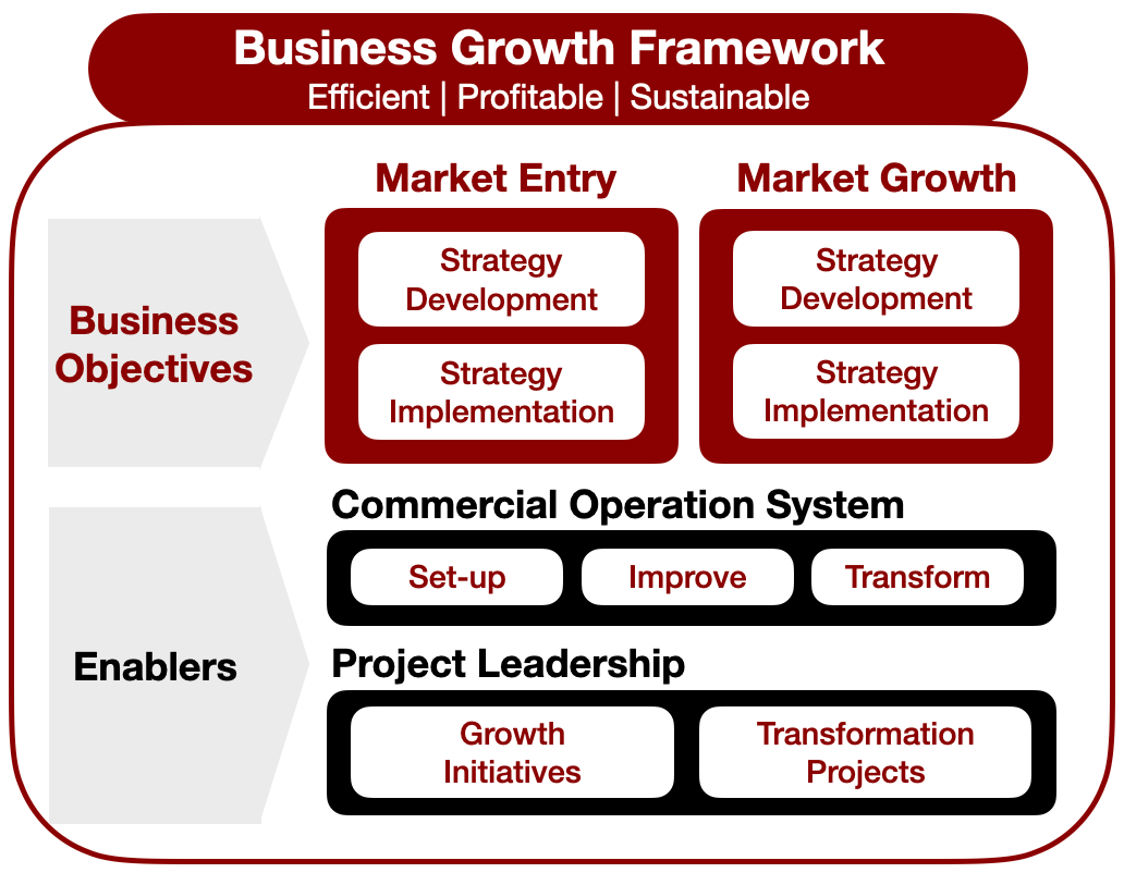 Consulting Framework