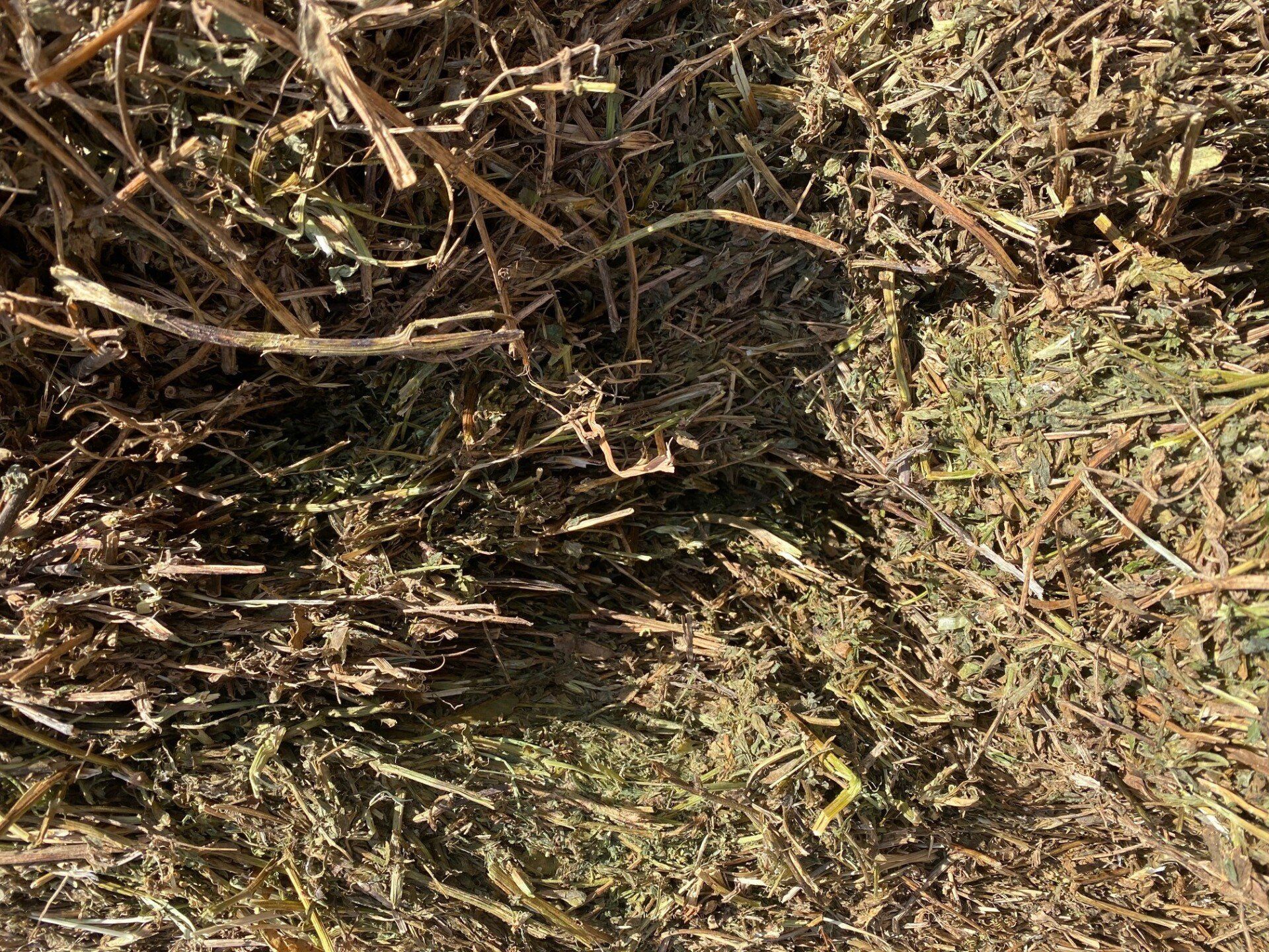 Current Vetch Hay Inventory - Quality Feeds