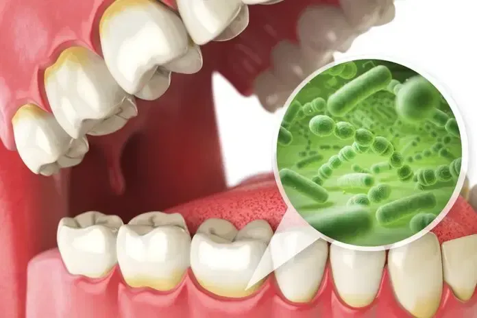 Infographic: Mouth and oral health's impact on whole-body wellness. A tooth, heart, and silhouette are featured.