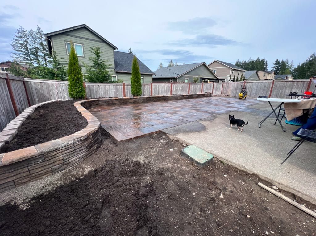 A dog is standing in the dirt in a backyard.