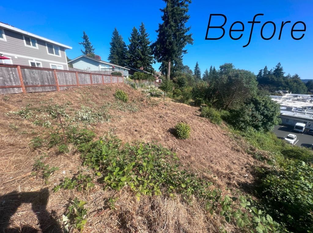 A before picture of a lush green hillside with a house in the background.