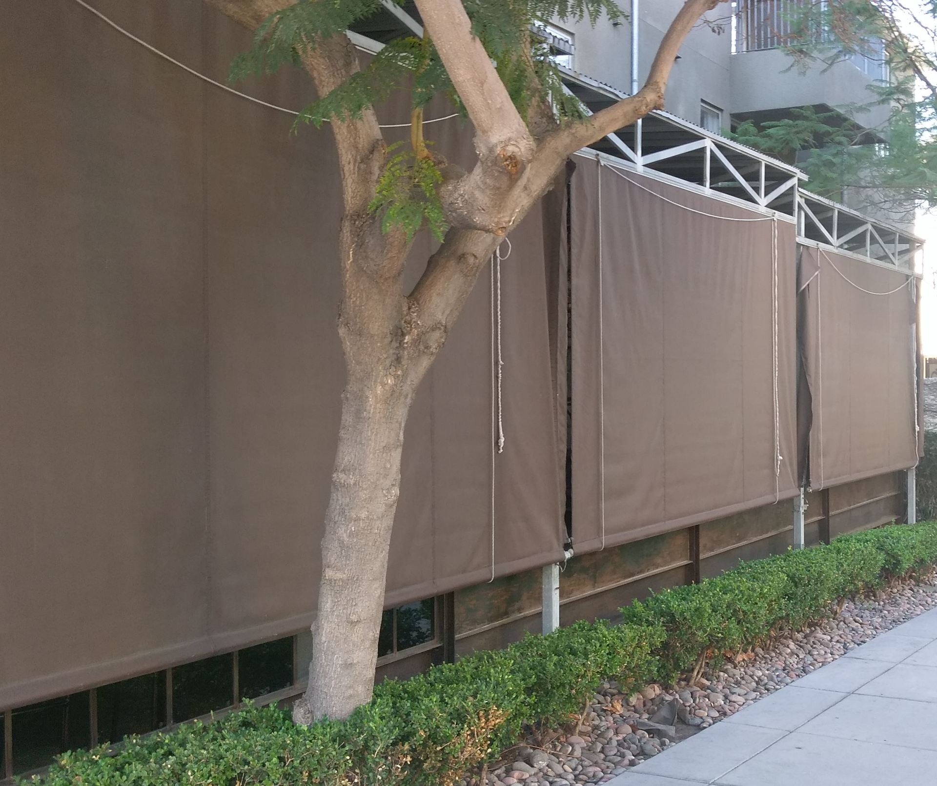 photo of awning at indigo restaurant