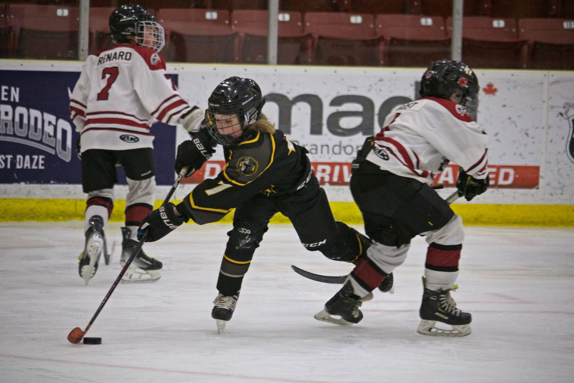 Hockey players in action on ice. One in black and yellow, another in red and white, skating with sticks.