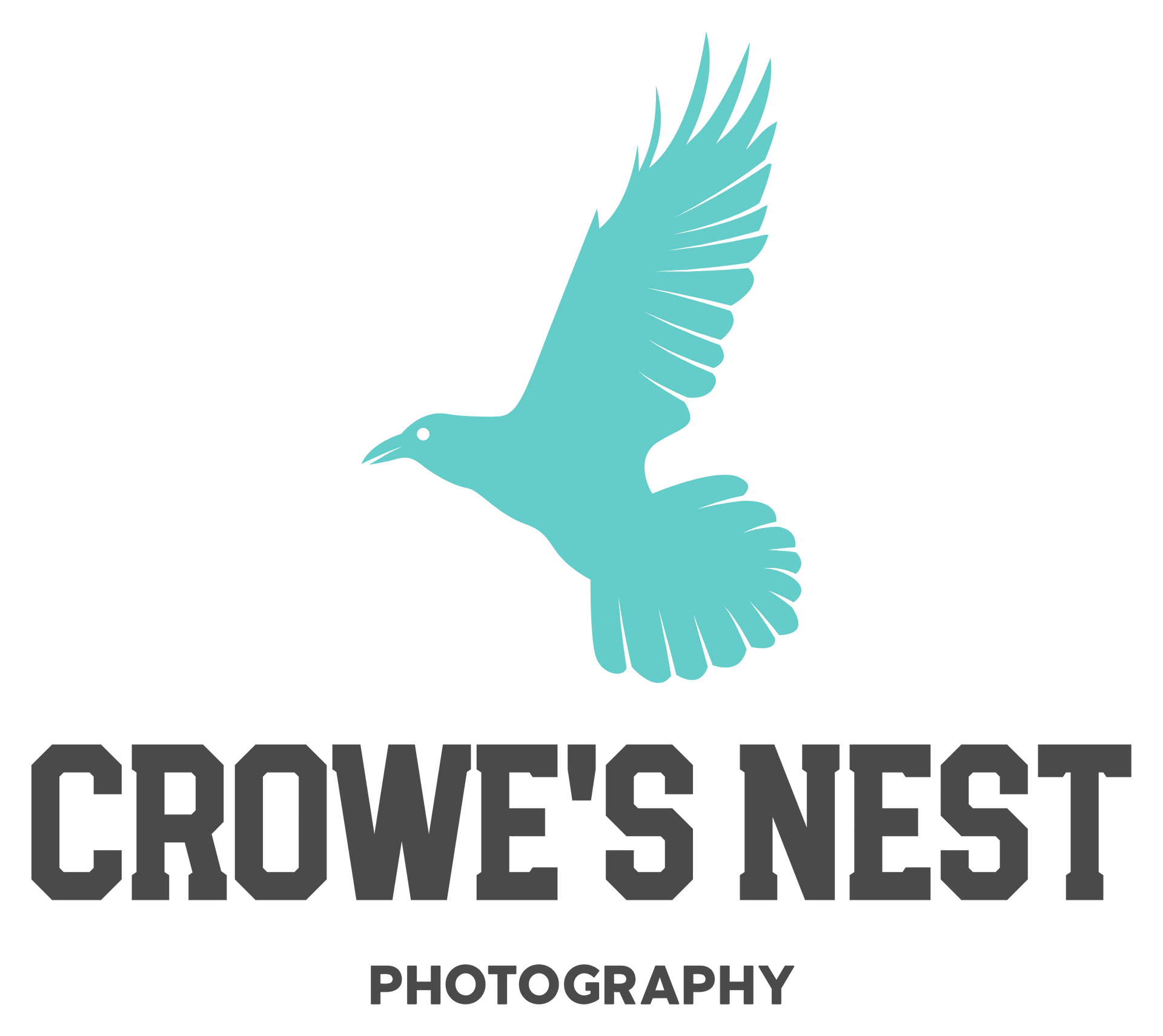 Teal silhouette of a crow in flight above text 
