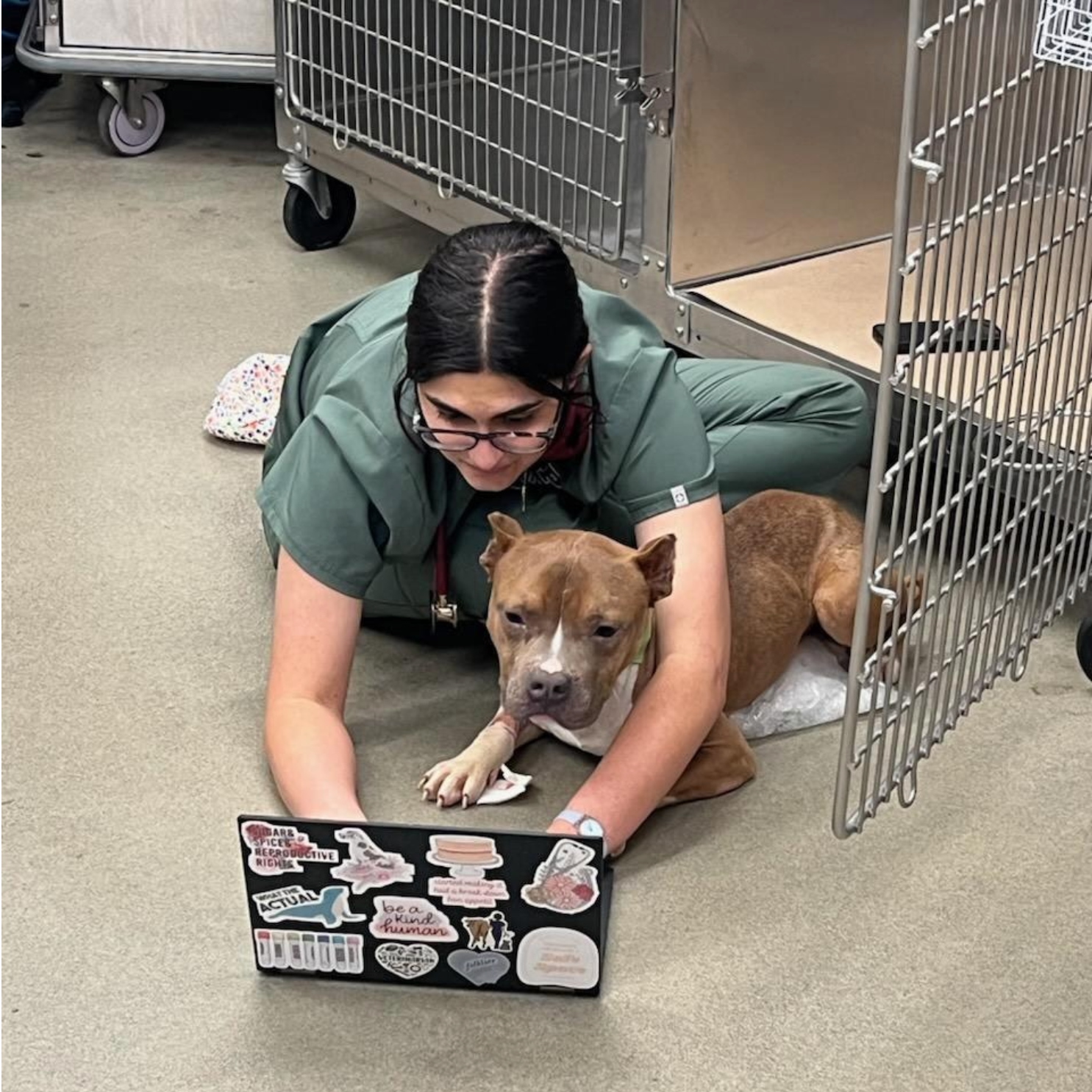 A vet laying on the floor next to a dog looking at a laptop