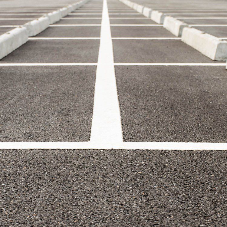 Empty asphalt parking lot with white painted lines and concrete wheel stops.
