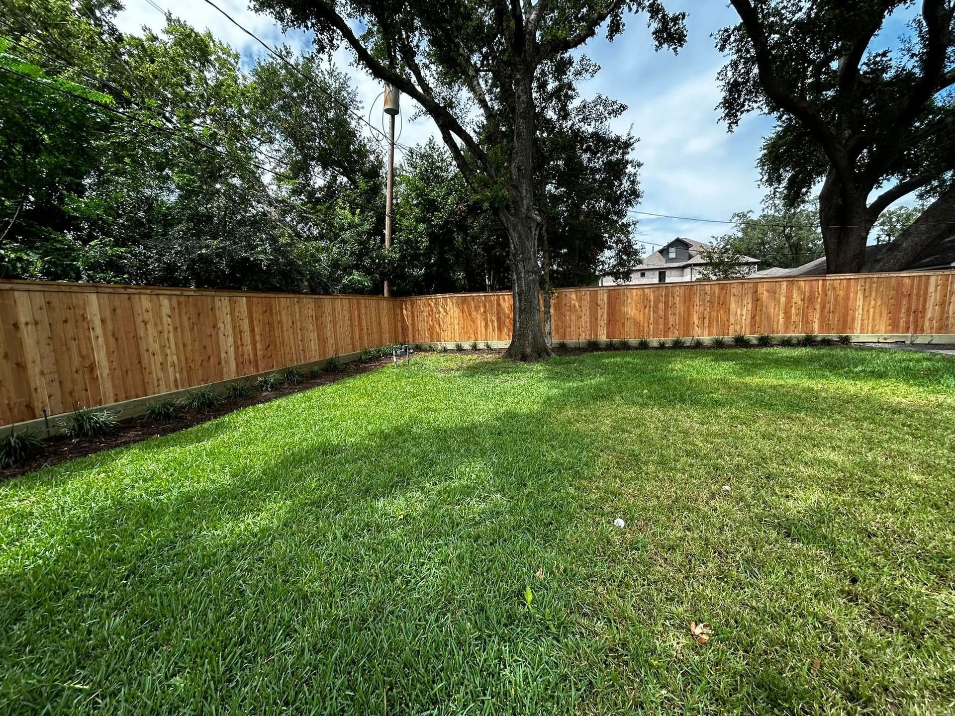 Wooden fence surrounds a green lawn with a large tree in the center. Blue sky with white clouds.