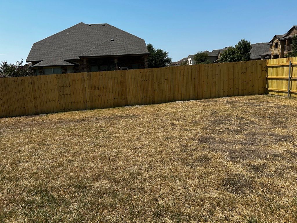 Backyard with a brown wooden fence and dry, golden grass on a sunny day.