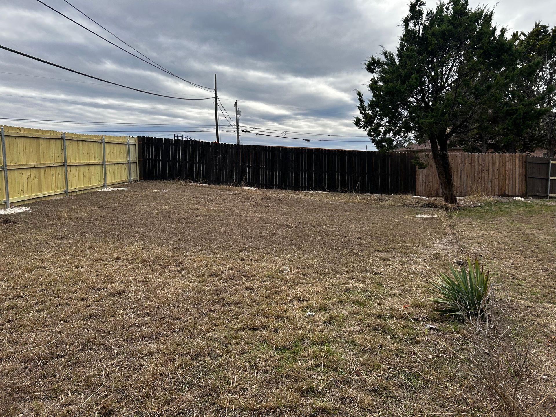 A backyard with brown grass, fences, and a tree under a cloudy sky.