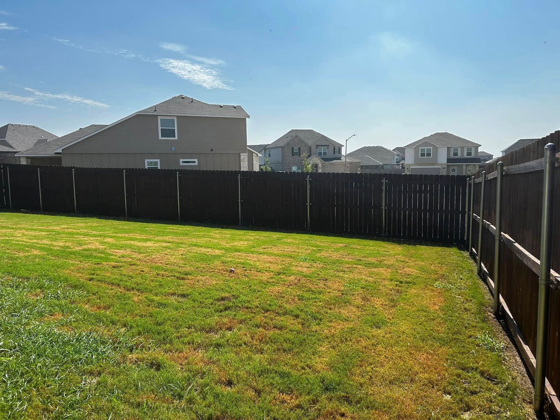 Backyard view with green grass, brown wooden fence, and houses under a blue sky.