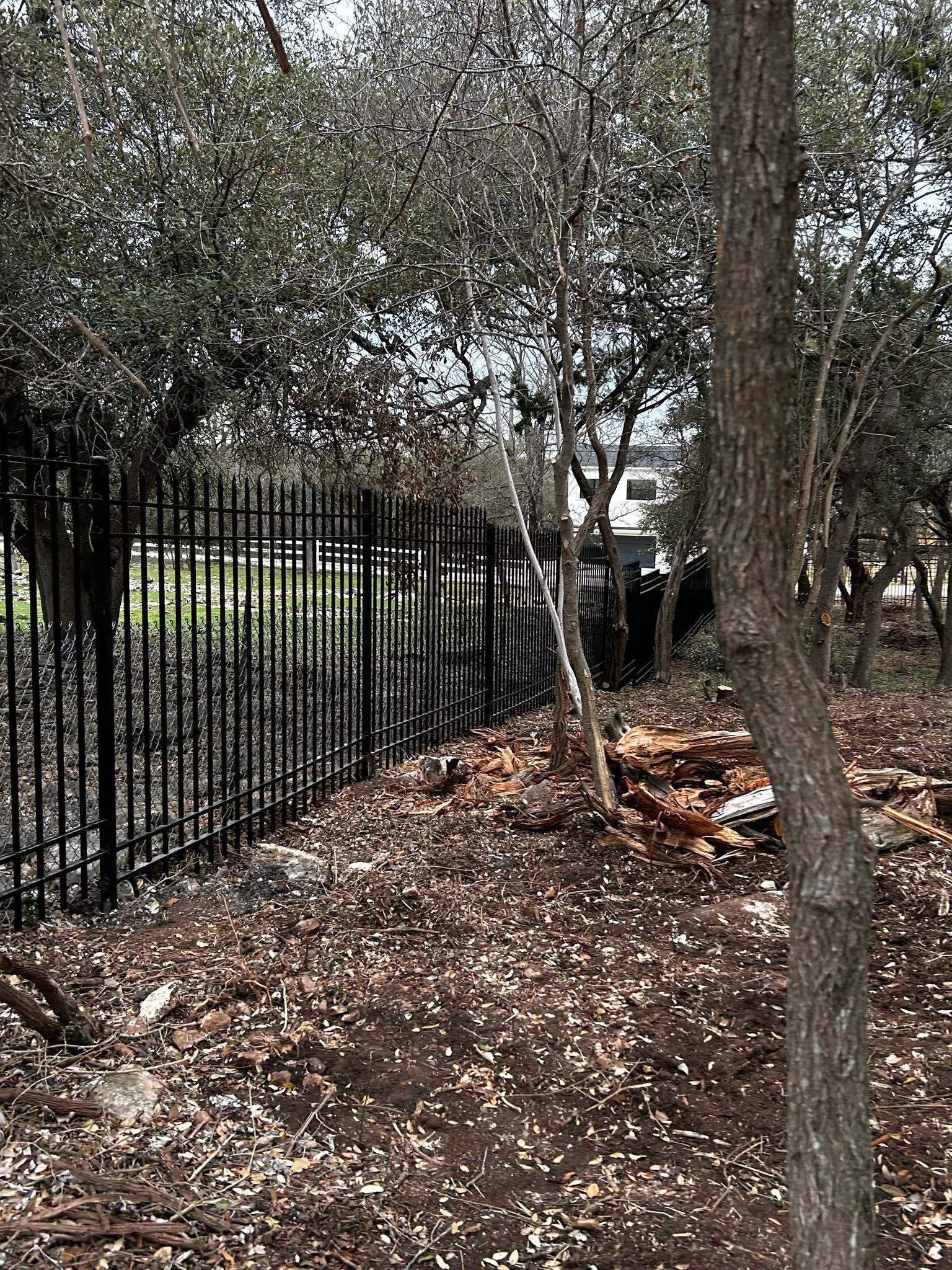 Black metal fence bordering a wooded area with trees and scattered leaves.