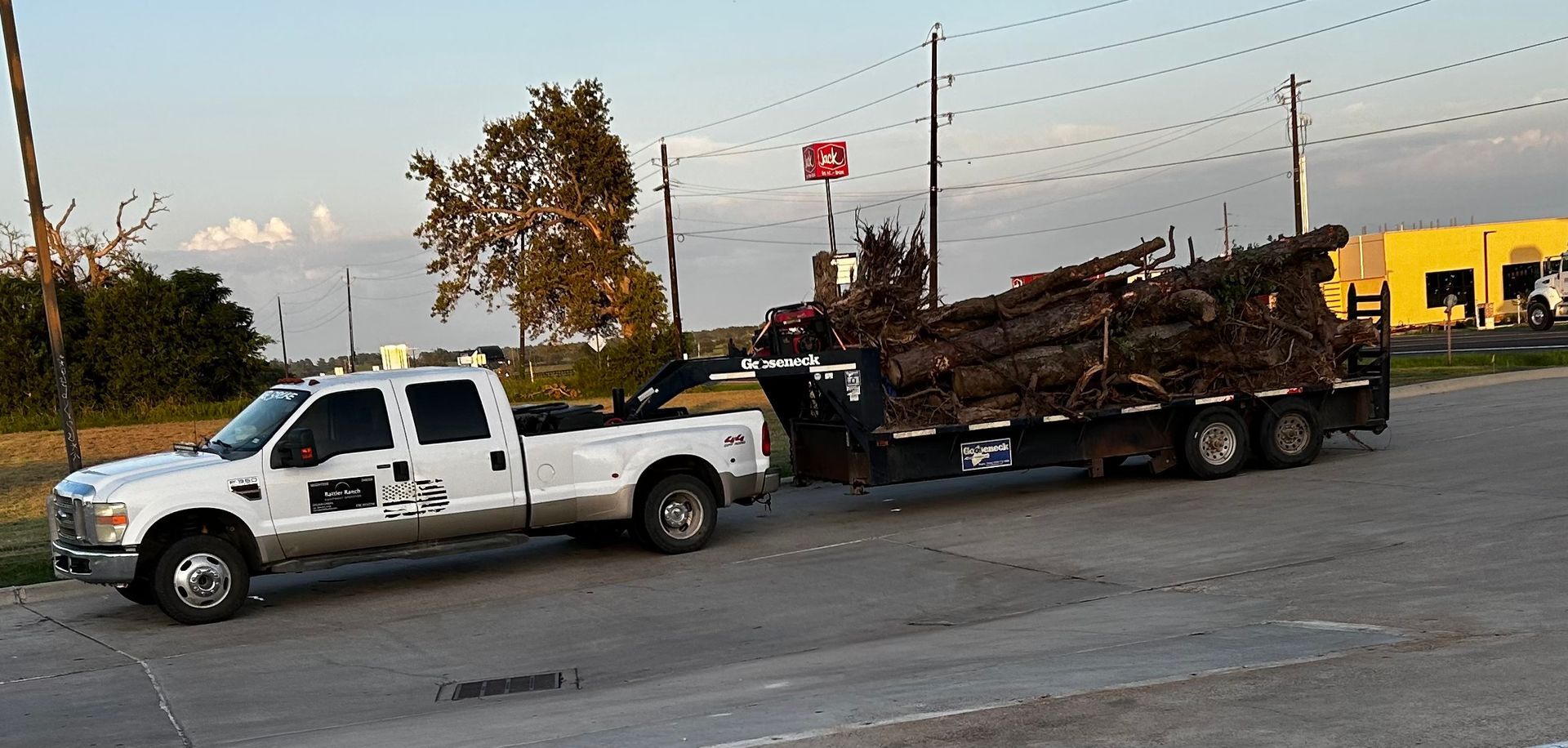 White truck towing a trailer loaded with brown tree branches, on a gray asphalt road. Yellow building in background.
